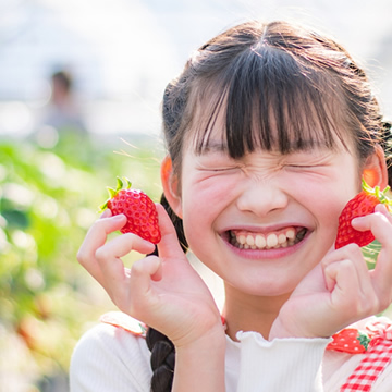 滋賀県東近江市のいちご狩り園ぐっど・べりー