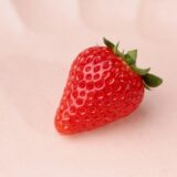 いちご狩り予約スタート